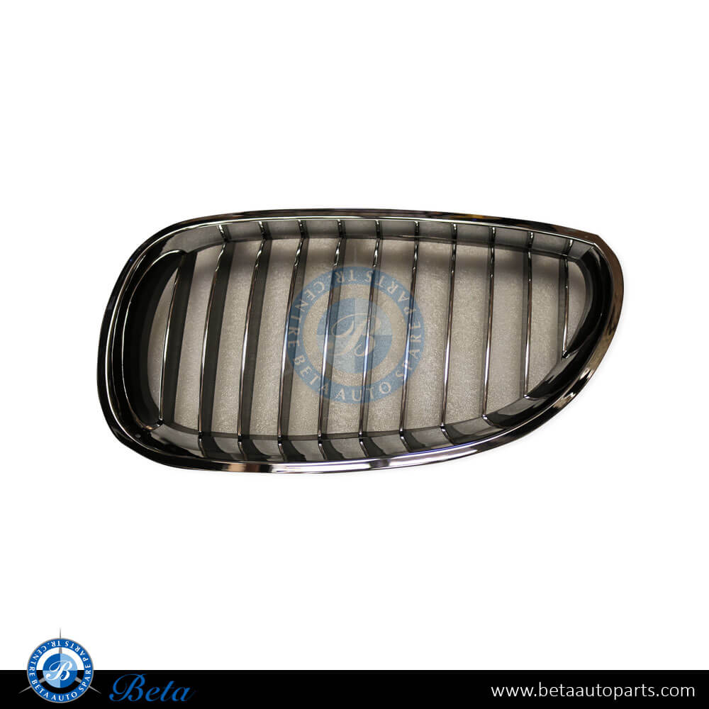 Left Side Radiator Grille for BMW 5 Series E60 2003-2009 models, Part Number 51137065701