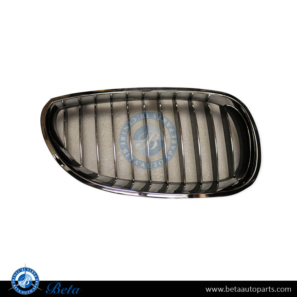 Right Side Radiator Grille for BMW 5 Series E60 2003-2009 models, Part Number 51137065702