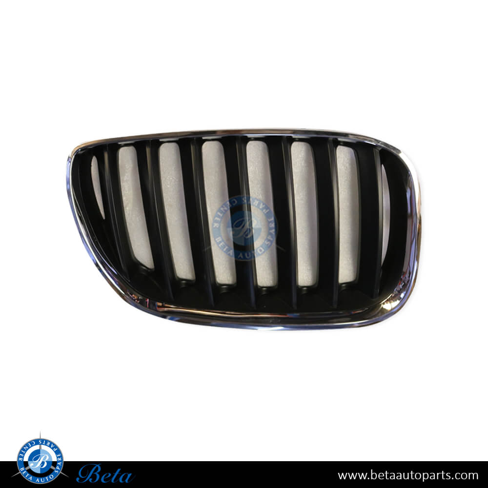 Right Side Radiator Grille - Black and Chrome for BMW X5 E53 LCI 2004-2006 models, Part Number 51137113734