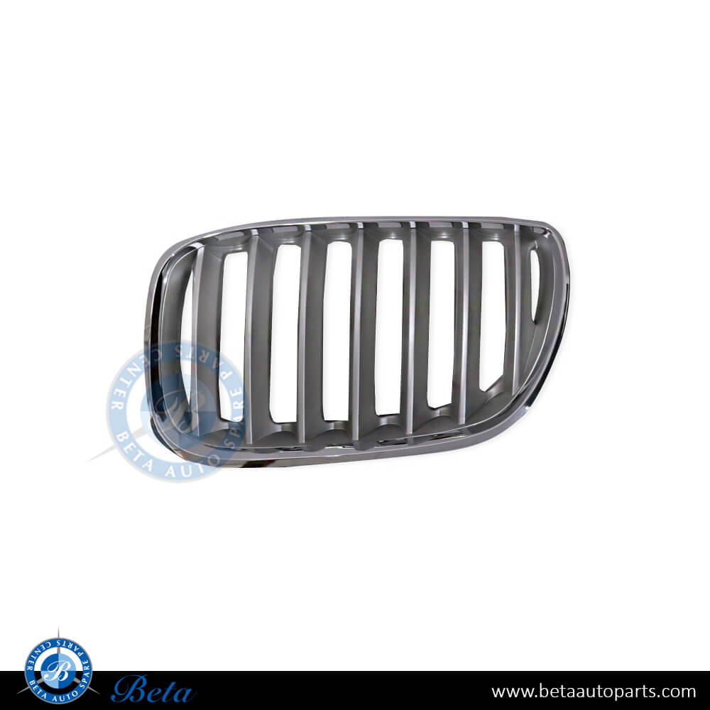 Left Side Grille for BMW X5 E53 2004-2006 models, Part Number 51137124815