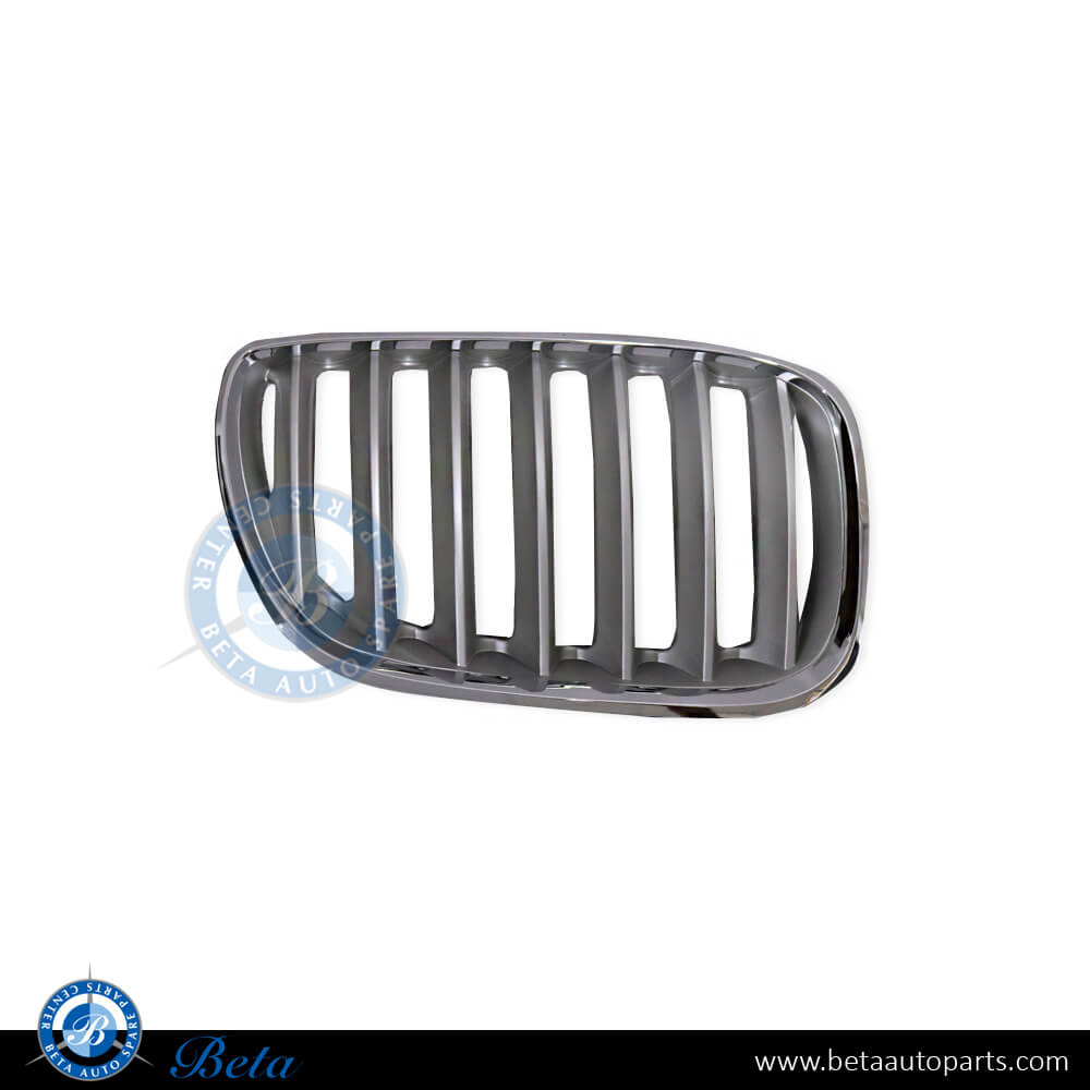 Right Side Grille for BMW X5 E53 2004-2006 models, Part Number 51137124816