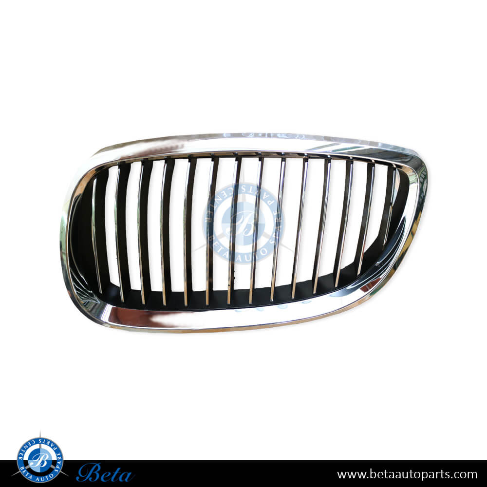 BMW 3 Series E92/E93 (2005-2008), Grille (Left), Taiwan, 51137157277