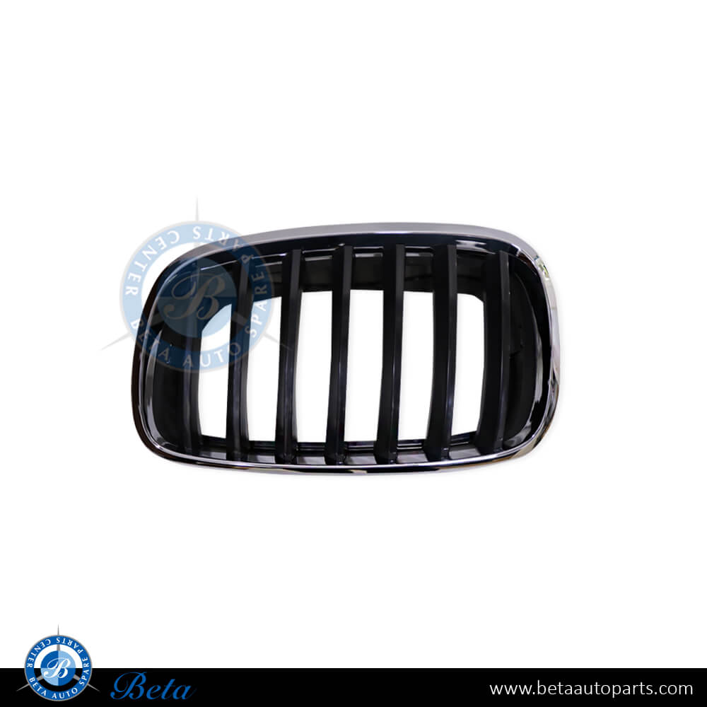 BMW X5/X6 E70/E71 (2007-2014), Grille (Left), China, 51137157687