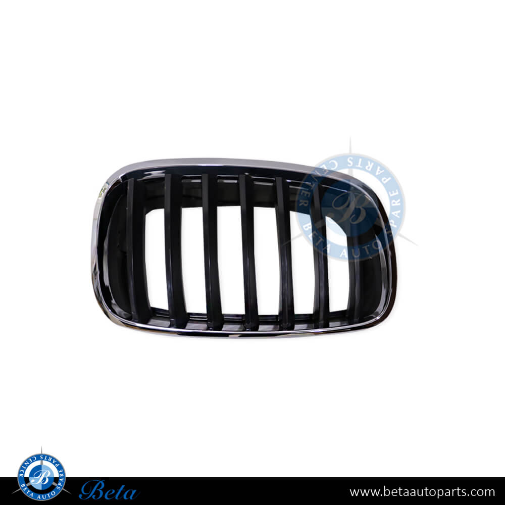 BMW X5/X6 E70/E71 (2007-2014), Grille (Right), China, 51137157688