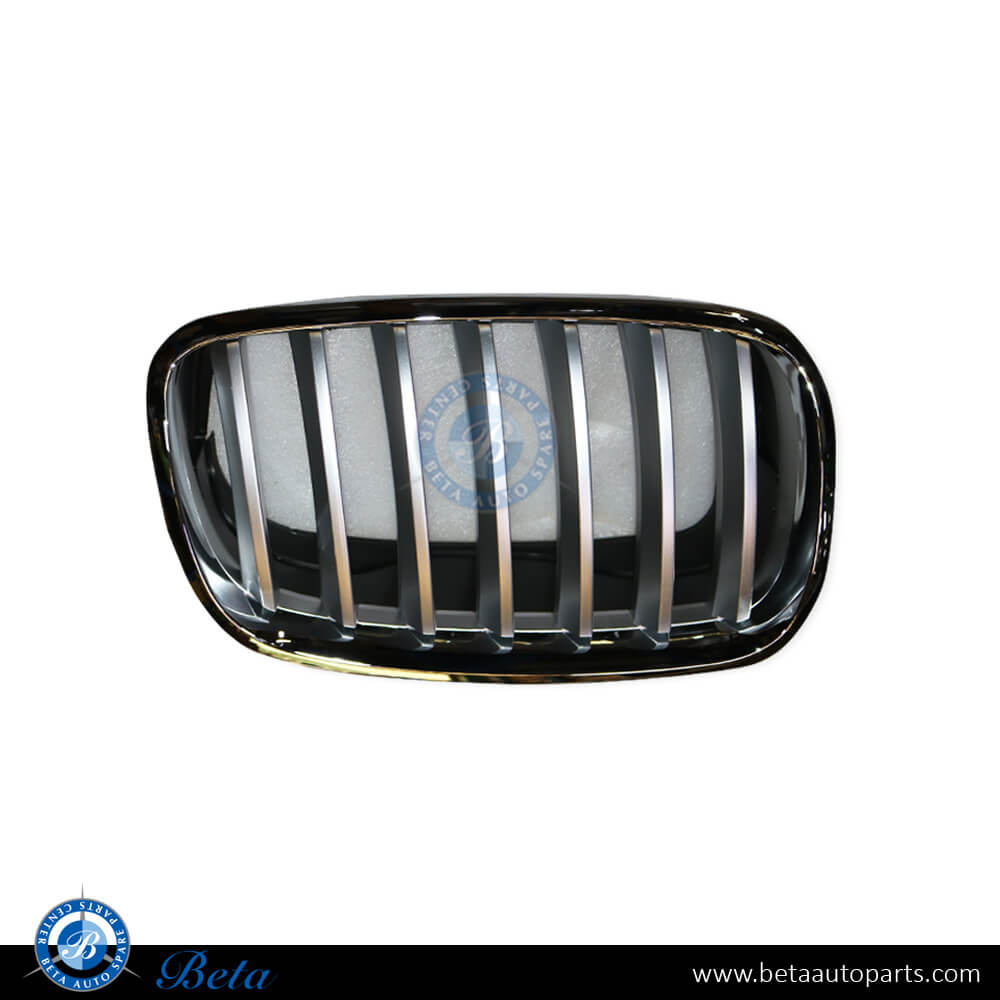 Right Side Radiator Grille - Silver for BMW X5/X6 E70/E71 2007-2014 models, Part Number 51137185224