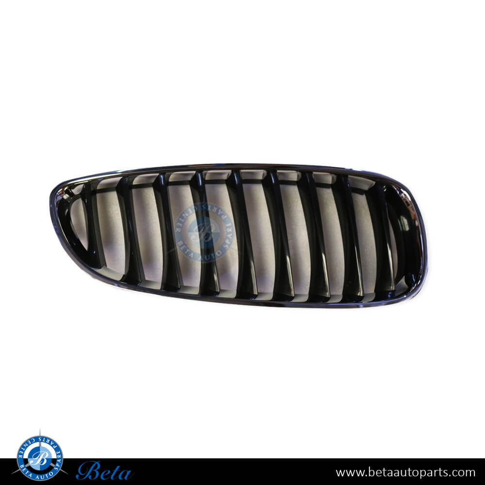 Right Side Radiator Grille - Black and Chrome for BMW Z4 E89 2009-2012 models, Part Number 51137191510