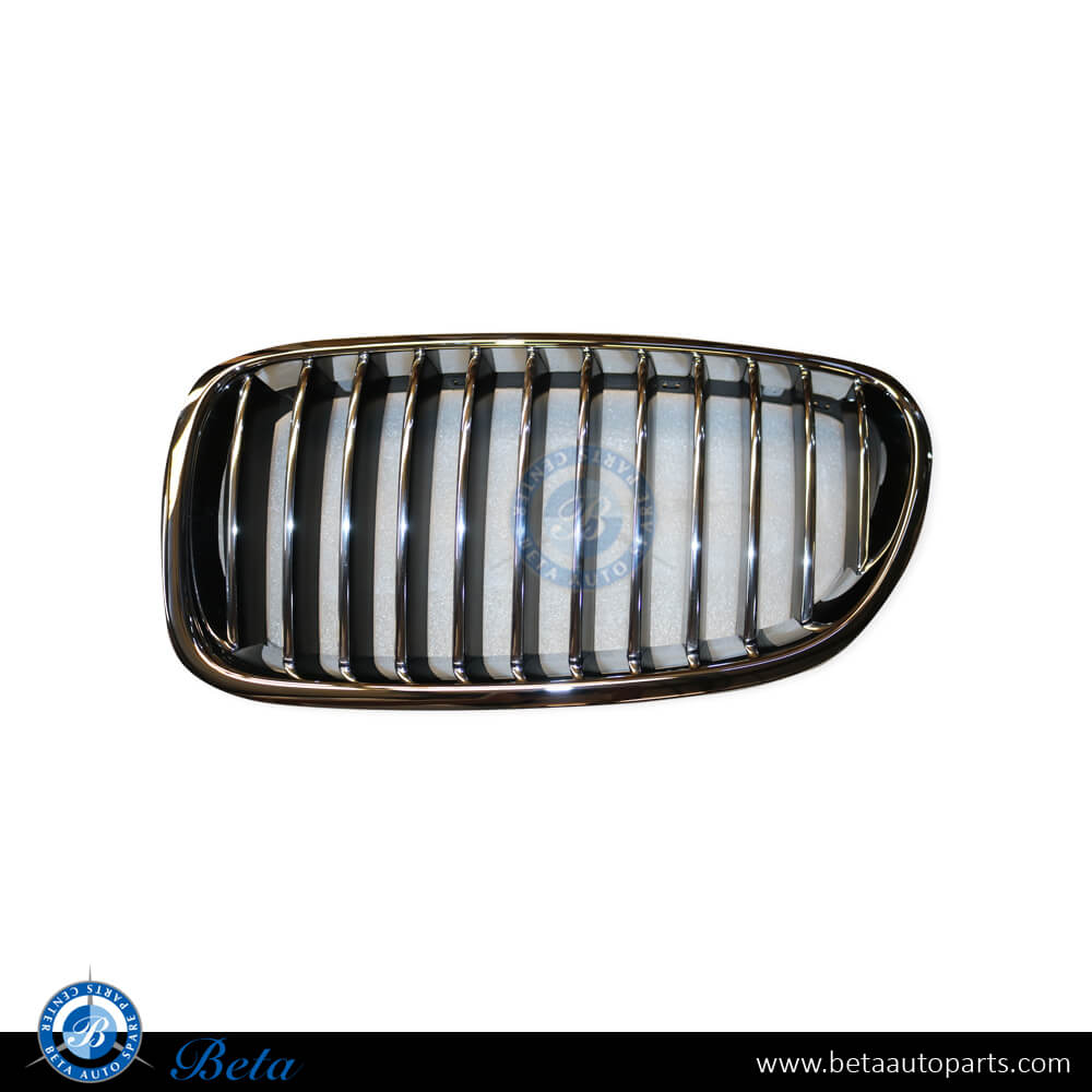 BMW 5 Series F10 (2010-2013), Grille - Black and Chrome (Left), Taiwan, 51137203649