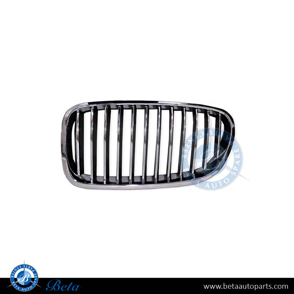 BMW 5 Series F10 (2010-2013), Grille (Left), China, 51137203649