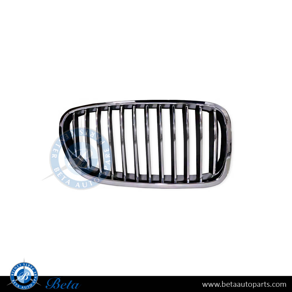 BMW 5 Series F10 (2010-2013), Grille (Right), China, 51137203650