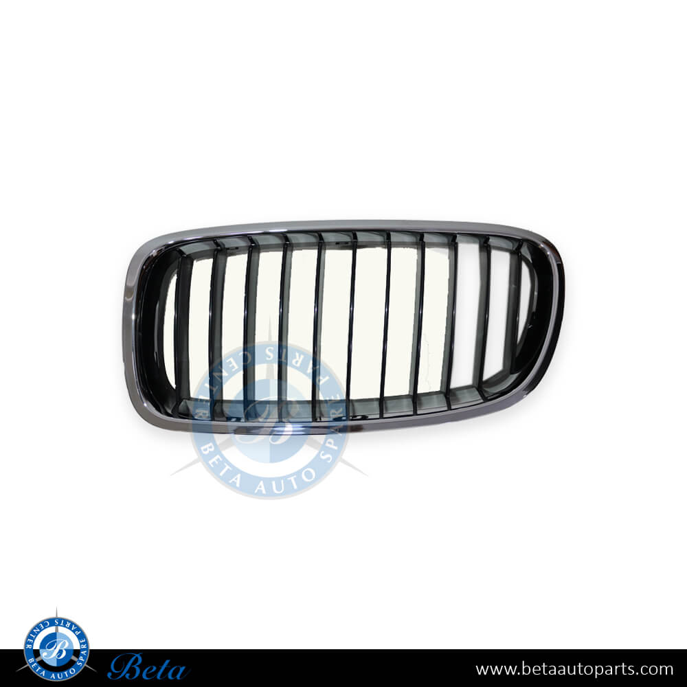 Left Side Grille for BMW 3 Series F30 2012-2018 models, Part Number 51137255411