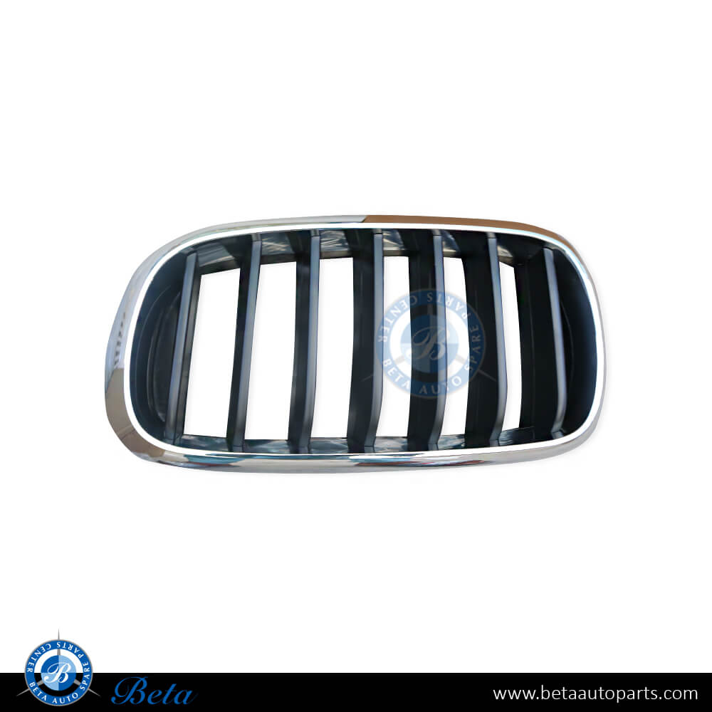 Left Side Radiator Grille - Black and Chrome for BMW X5 F15 2014-2018 models, Part Number 51137294485