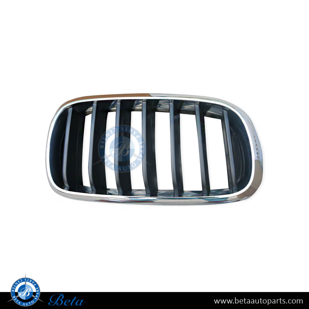 Right Side Radiator Grille - Black and Chrome for BMW X5 F15 2014-2018 models, Part Number 51137294486