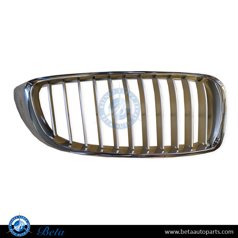 Right Side Radiator Grille for BMW 4 Series F32 / F36 2014-2020 models, Part Number 51137294820