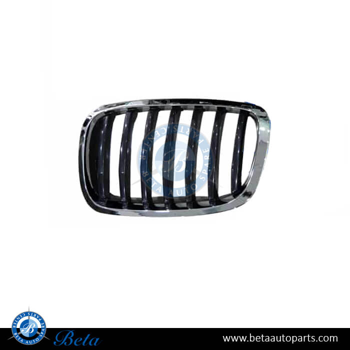 Left Side Radiator Grille for BMW X6 E71 LCI 2013-2014 models, Part Number 51137305589