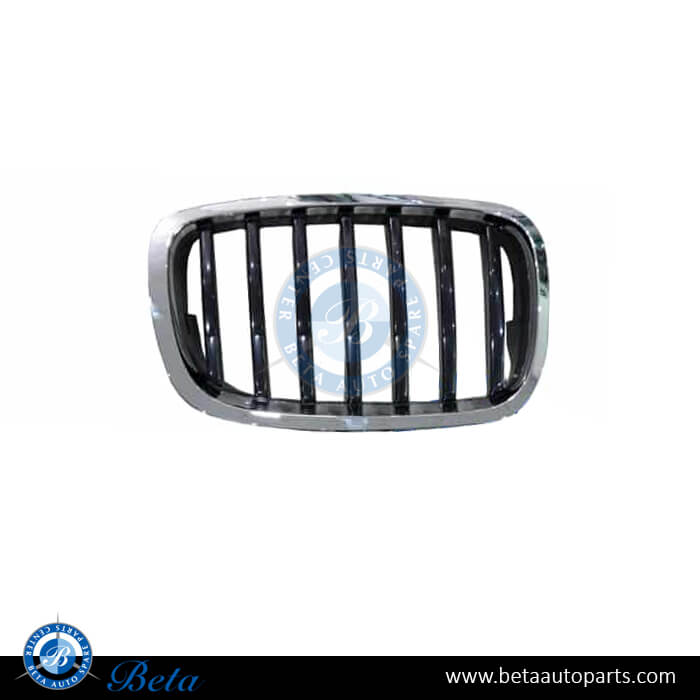 Right Side Grille for BMW X6 E71 LCI 2013-2014 models, Part Number 51137305590