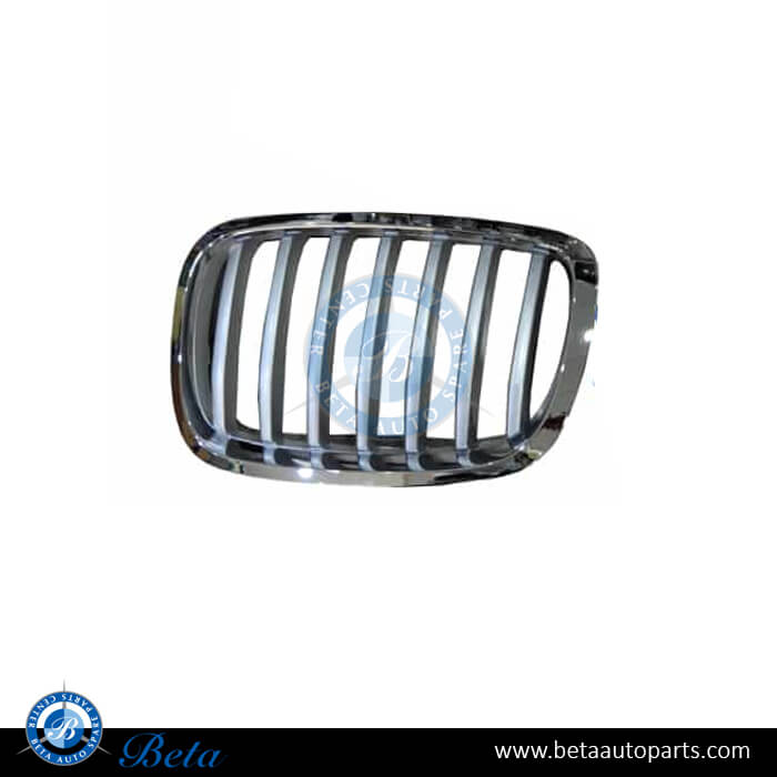 Left Side Radiator Grille -Titan for BMW X6 E71 LCI 2013-2014 models, Part Number 51137307599