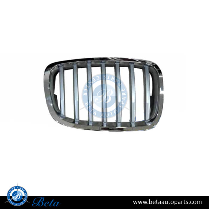 Right Side Grille Titan for BMW X6 E71 LCI 2013-2014 models, Part Number 51137307600