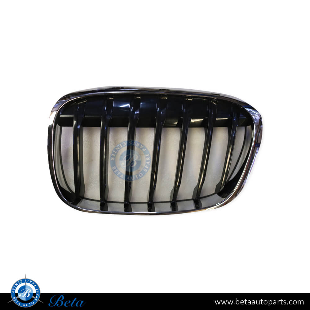 Left Side Radiator Grille - Basis for BMW X1 F48 2016-2019 models, Part Number 51137354823