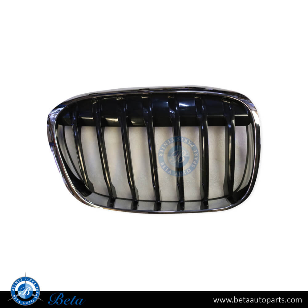 Right Side Radiator Grille - Basis for BMW X1 F48 2016-2019 models, Part Number 51137354824