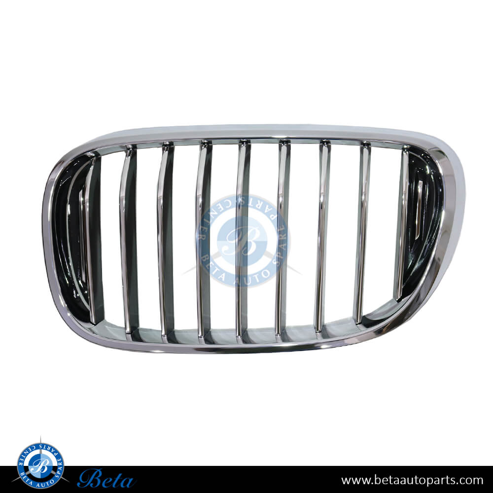 Left Side Grille Basis for BMW 7 Series G11/G12 2016-2019 models, Part Number 51137357011