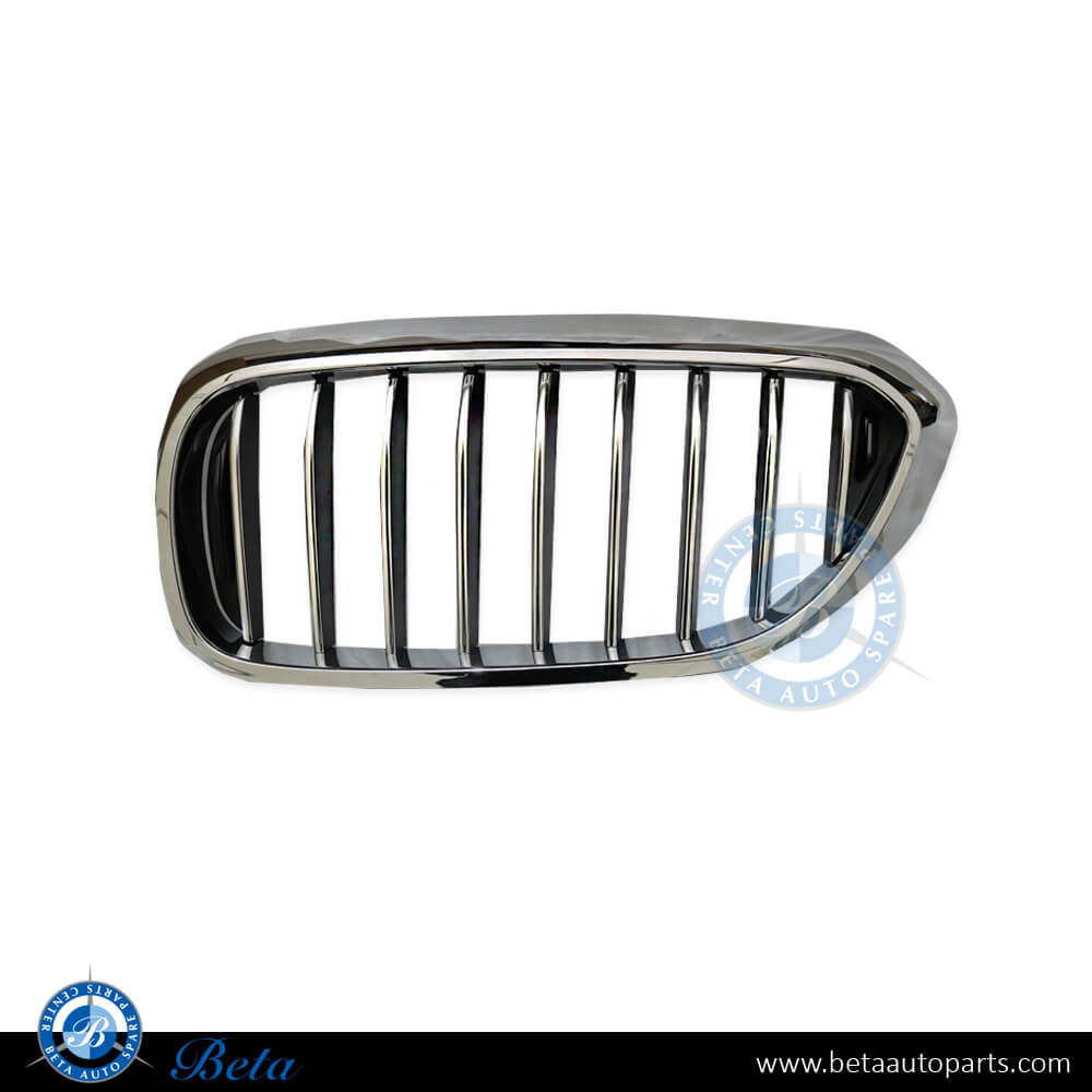 Left Side Radiator Grille Basis for BMW 5 Series G30 2017-2020 models, Part Number 51137383519