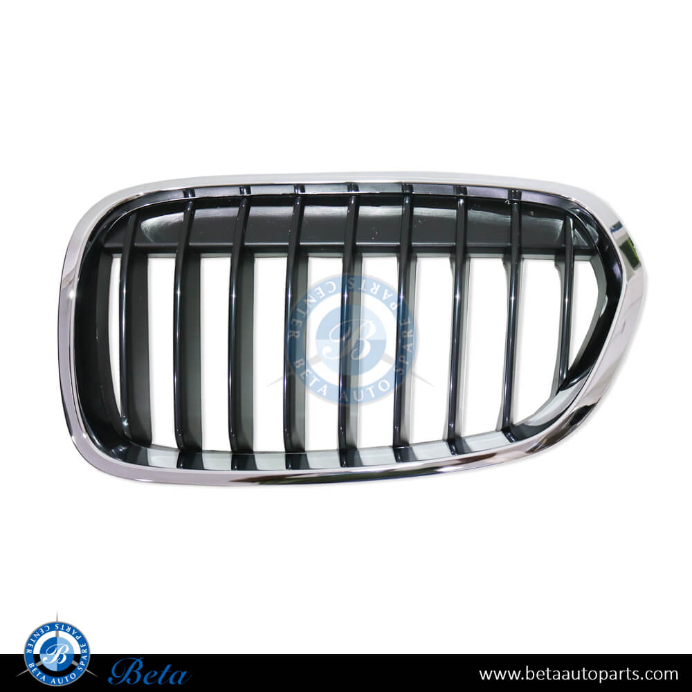 Left Side Grille for BMW 1 Series F20/F21 2015-2019 models, Part Number 51137389849