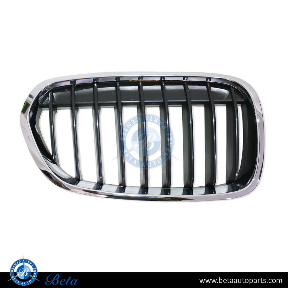 Right Side Grille for BMW 1 Series F20/F21 2015-2019 models, Part Number 51137389850