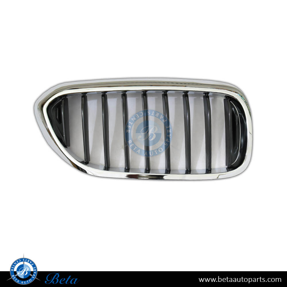 Right Side Grille for Sport / M-TEK for BMW 5 Series G30 2017-2020 models, Part Number 51137390864