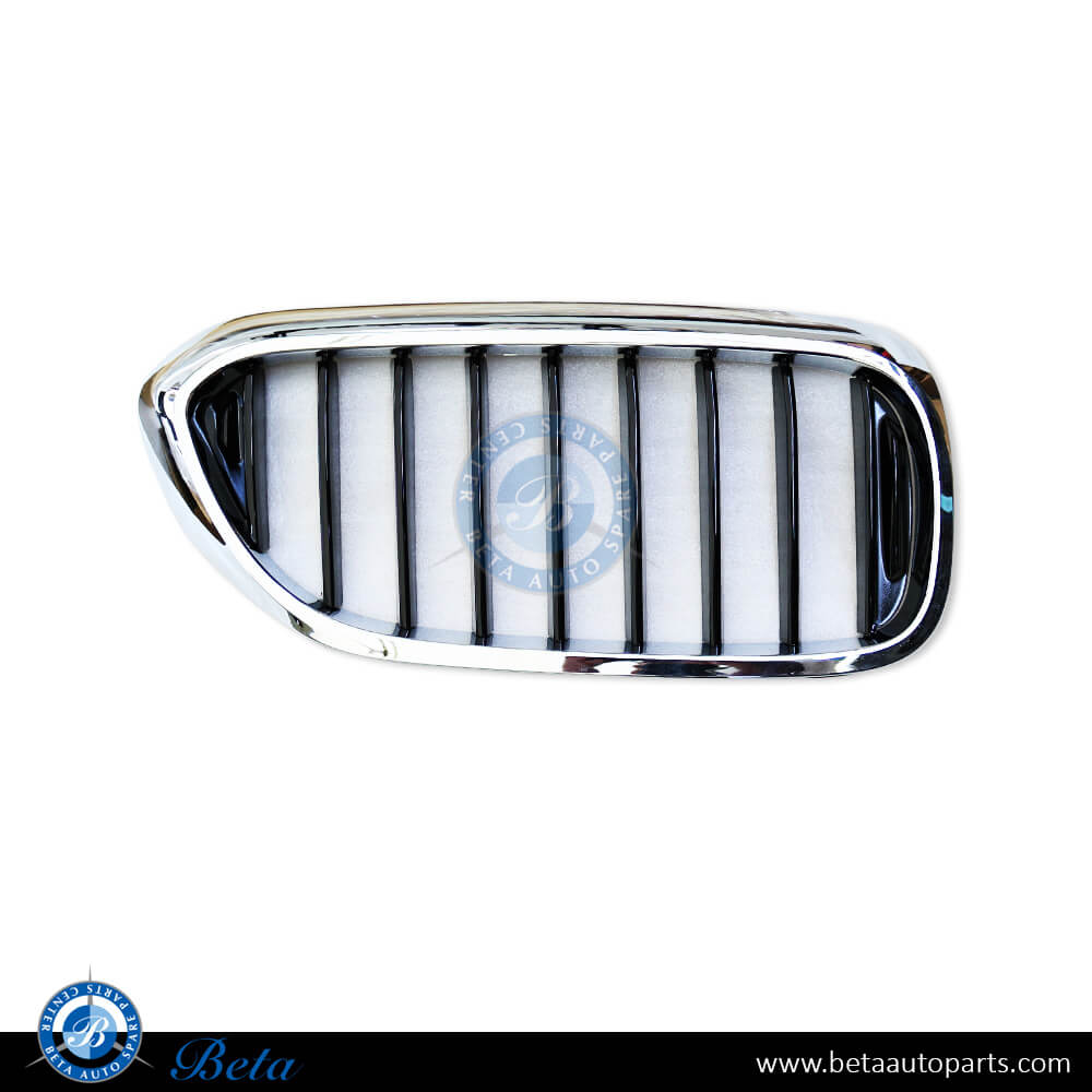 Right Side Grille for Sport / M-TEK for BMW 5 Series G30 2017-2020 models, Part Number 51137390864