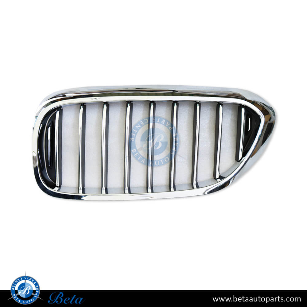 Left Side Grille for Luxury Line for BMW 5 Series G30 2017-2020 models, Part Number 51137390865