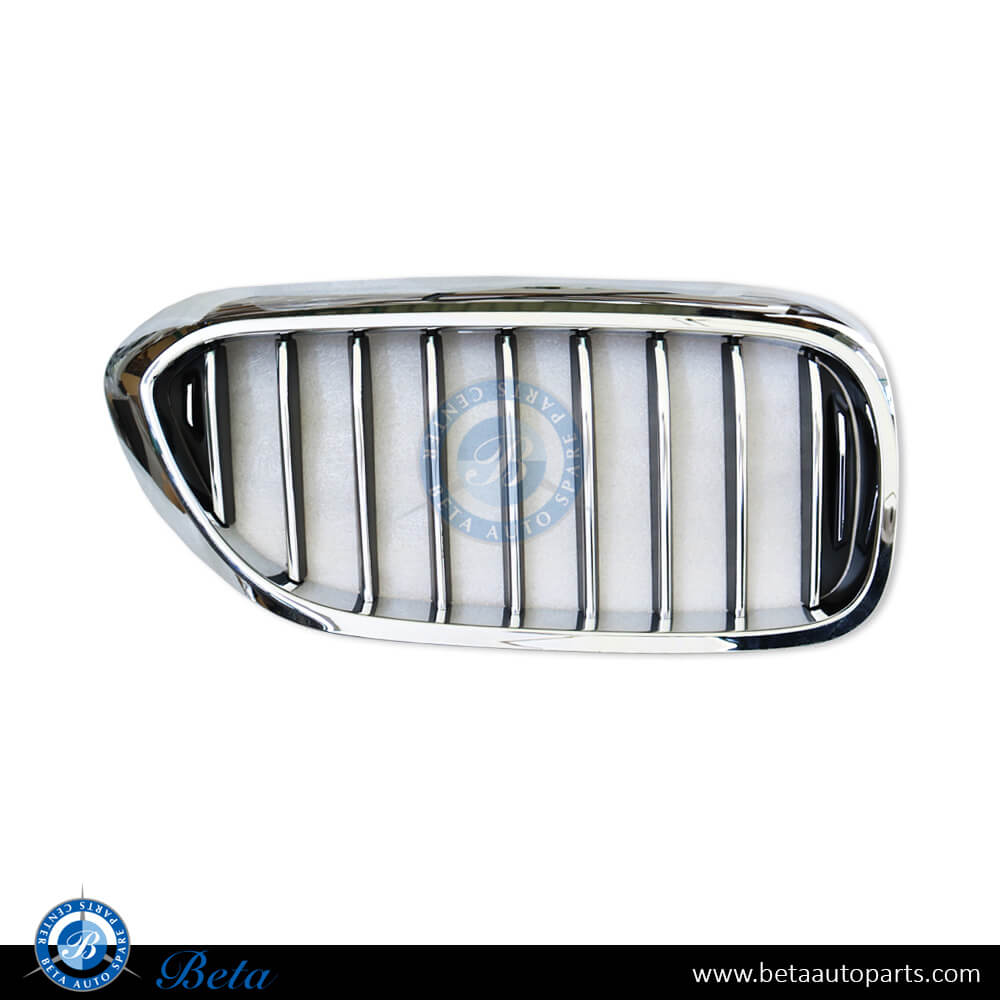 Right Side Grille for Luxury Line for BMW 5 Series G30 2017-2020 models, Part Number 51137390866