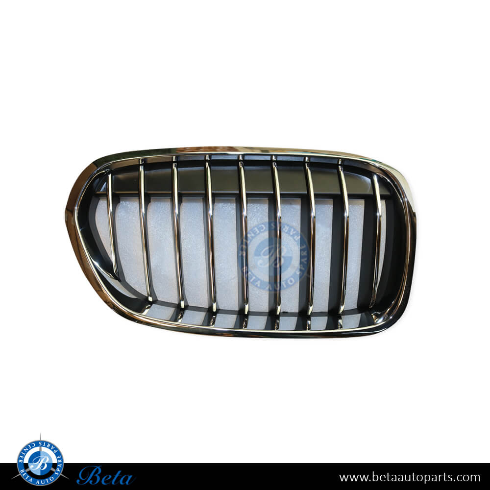 Left Side Radiator Grille Luxury Line for BMW 1 Series F20/F21 LCI 2015-2019 models, Part Number 51137400797