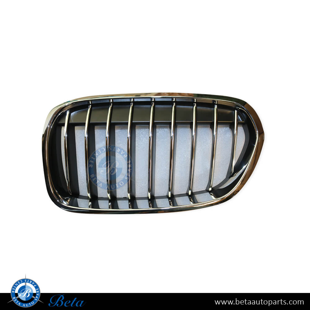 Right Side Radiator Grille Luxury Line for BMW 1 Series F20/F21 LCI 2015-2019 models, Part Number 51137400798