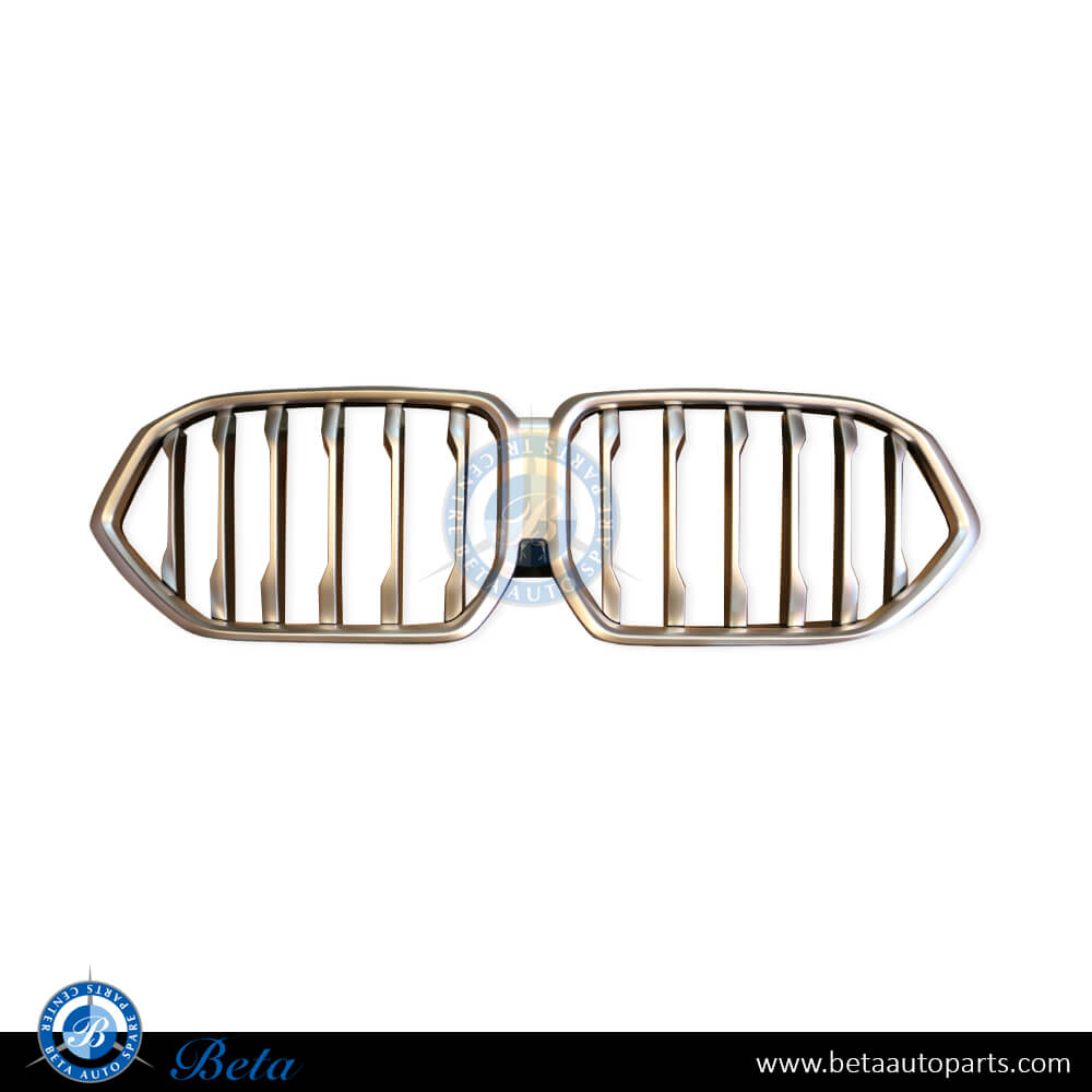 Radiator Grille Chrome color for BMW X6 G06 2020-Up models, Part Number 51137481386