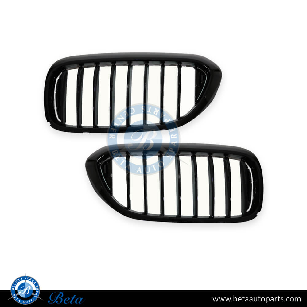 BMW 5 Series G30 (2017-2020), Grille 1 Line (Gloss Black), China, 51138070469 / 51138070470