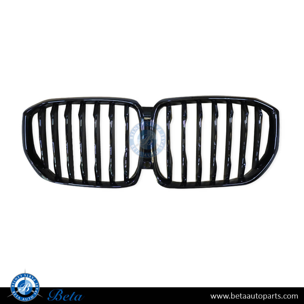 Grille with Night Vision Gloss Black color for BMW X5 G05 2019-Up models, Part Number 51138096591