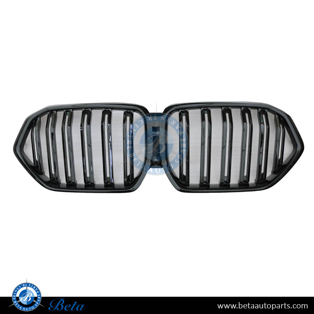 Radiator Grille M Look 2 Lines for BMW X6 G06 2020-Up models, Part Number 51138745303