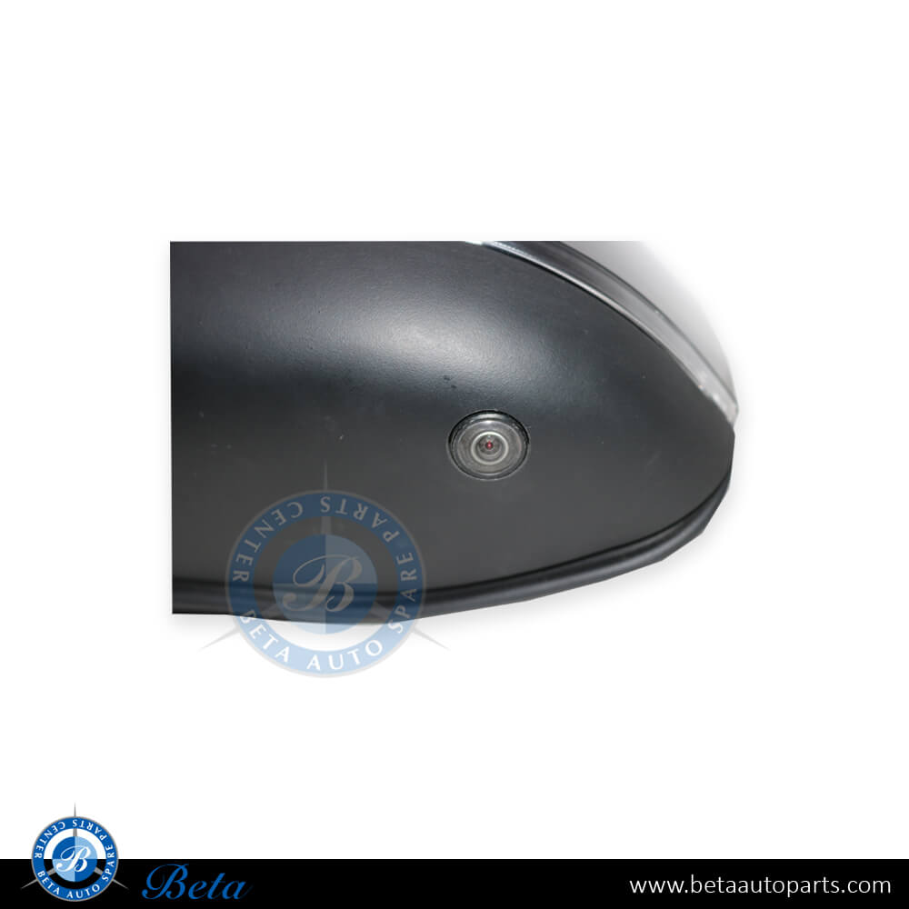 BMW X5 F15 (2014-2018), Mirror Assembly with Folding / Memory / Camera (Left), China, 51167364041