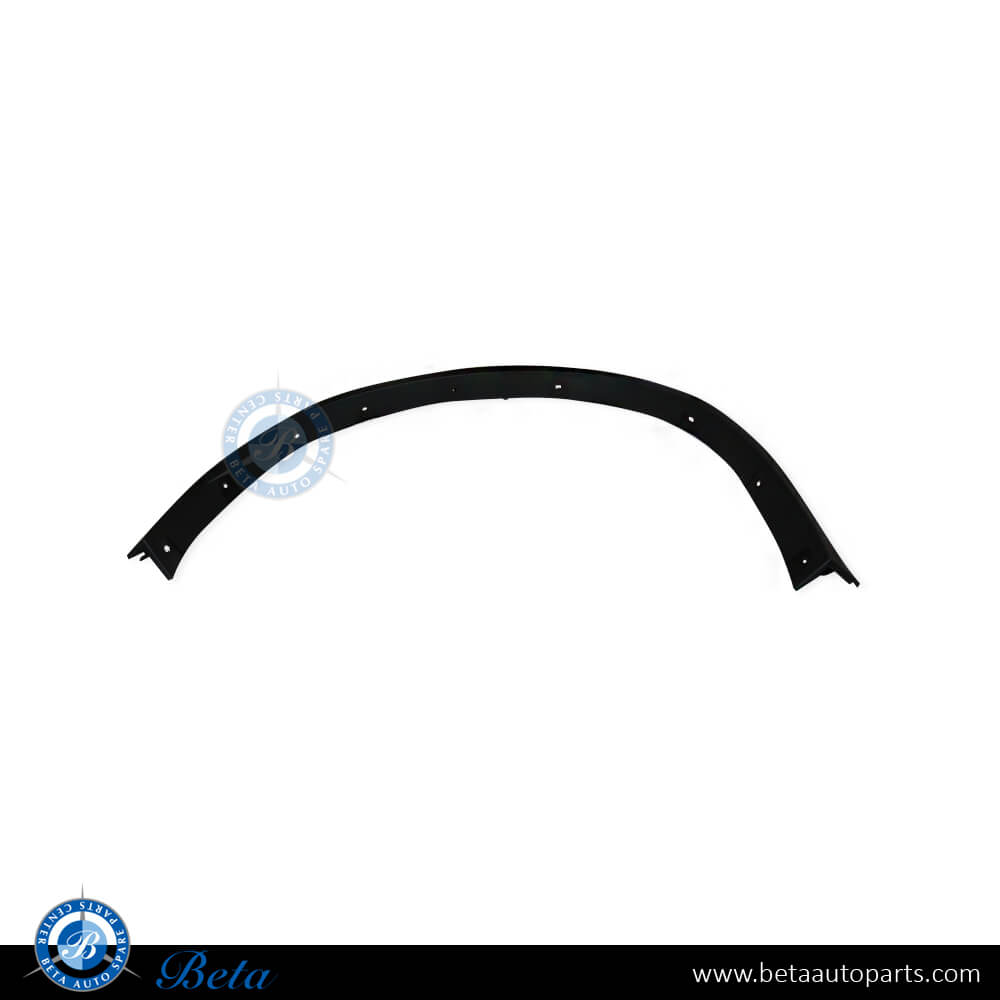 Left Side Front Wheel Arch for BMW X6 E71 2008-2014 models, Part Number 51777176235