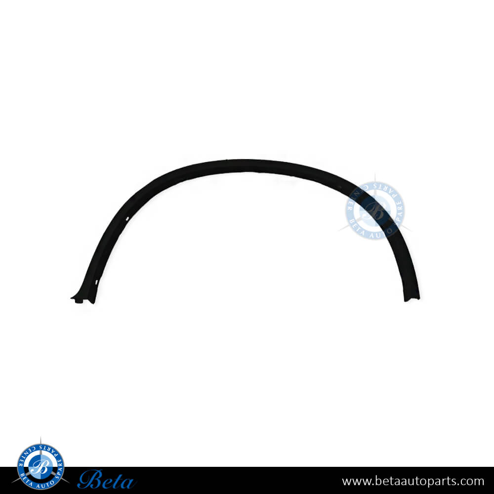 Left Side Rear Wheel Arch for BMW X6 E71 2008-2014 models, Part Number 51777176329