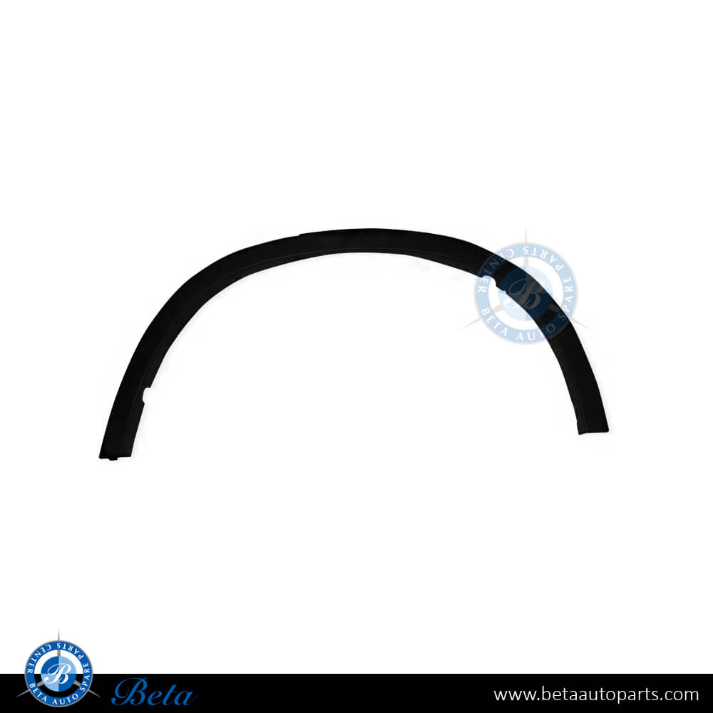 BMW X5 F15 (2014-2018), Rear Wheel Arch (Left), China, 51777294371