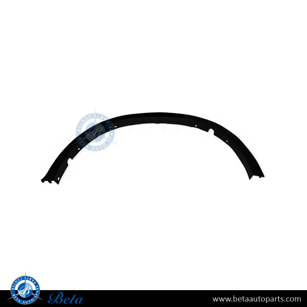 Left Side Rear Wheel Arch for BMW X6 F16 2015-2019 models, Part Number 51777319833