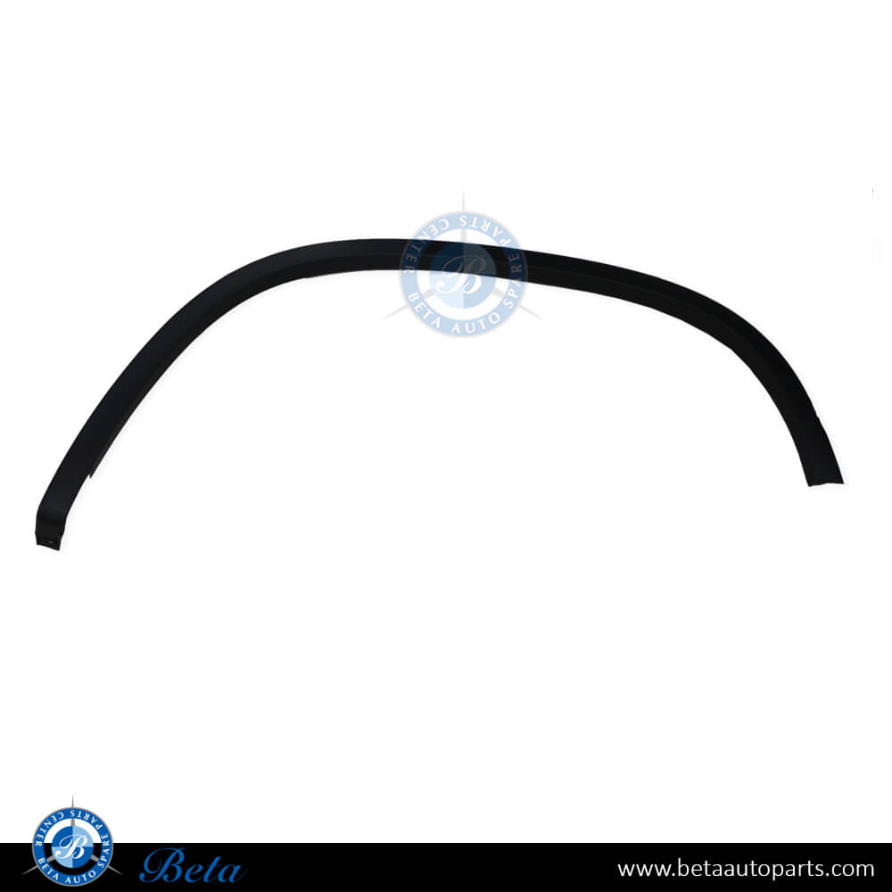 Volkswagen Tiguan (2008-2016), Rear Wheel Arch (Left), China, 5N0854819B