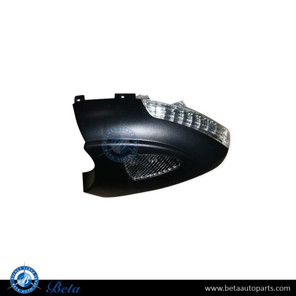 Left Side Mirror Blinker with Foot Lamp for Volkswagen Tiguan 2008-2011 models, Part Number 5N0949101E