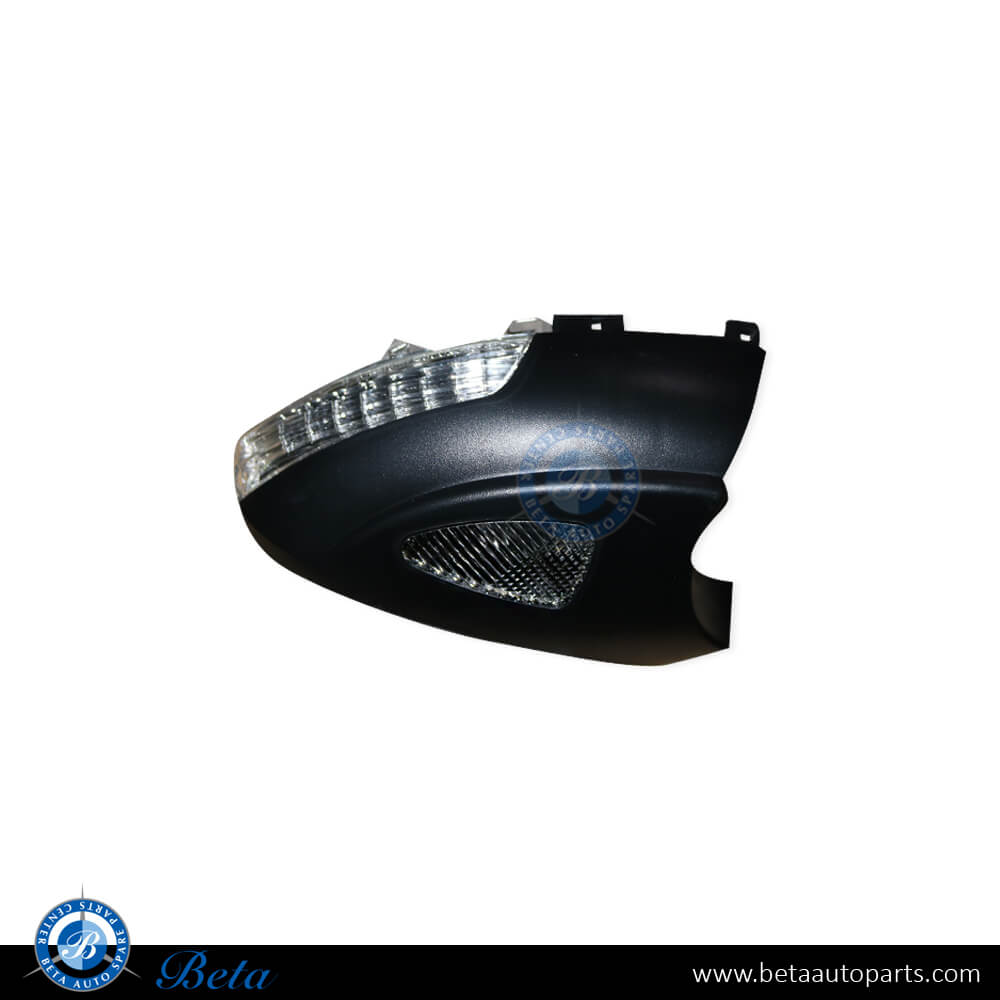 Right Side Mirror Blinker with Foot Lamp for Volkswagen Tiguan 2008-2011 models, Part Number 5N0949102E