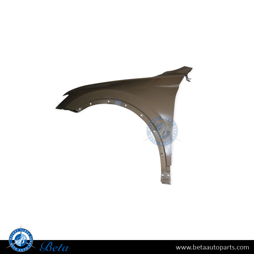 Volkswagen Tiguan (2017-2020), Front Fender (Left), China, 5NA821105