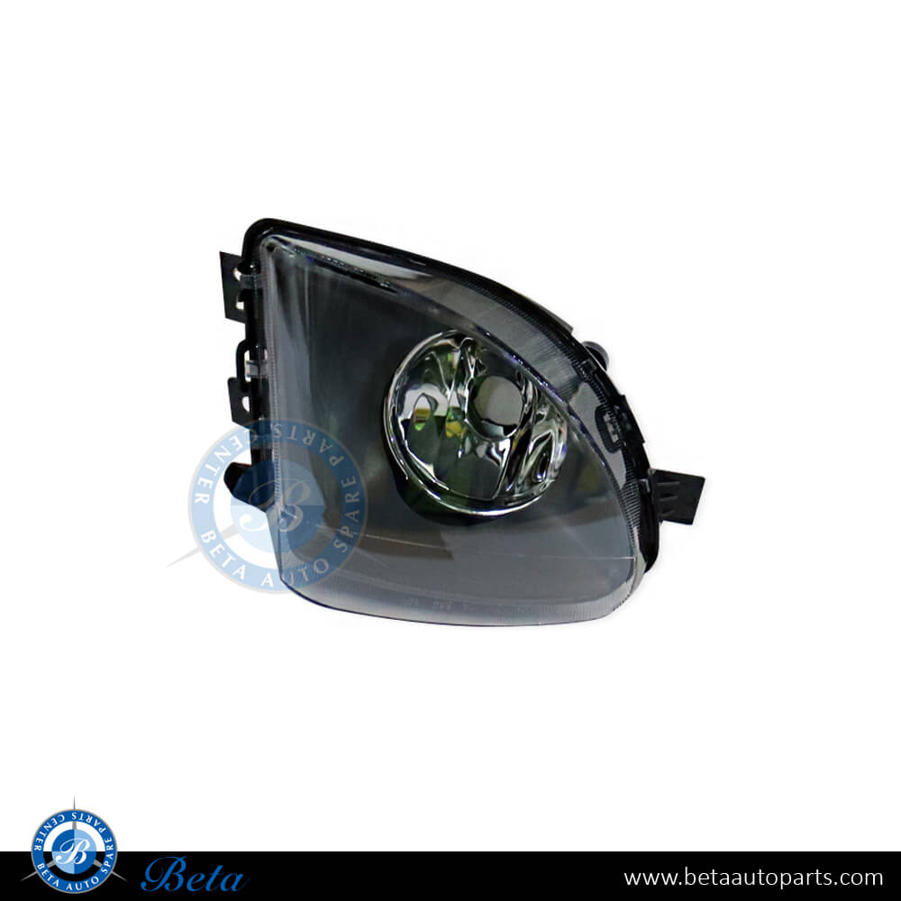 BMW 5 Series F10 (2010-2013), Fog lamp (Right), China, 63177216886