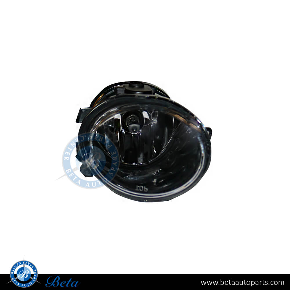 BMW 3 Series / 5 Series E46 / E39 (1996-2004), Fog lamp (Left), China, 63177894017