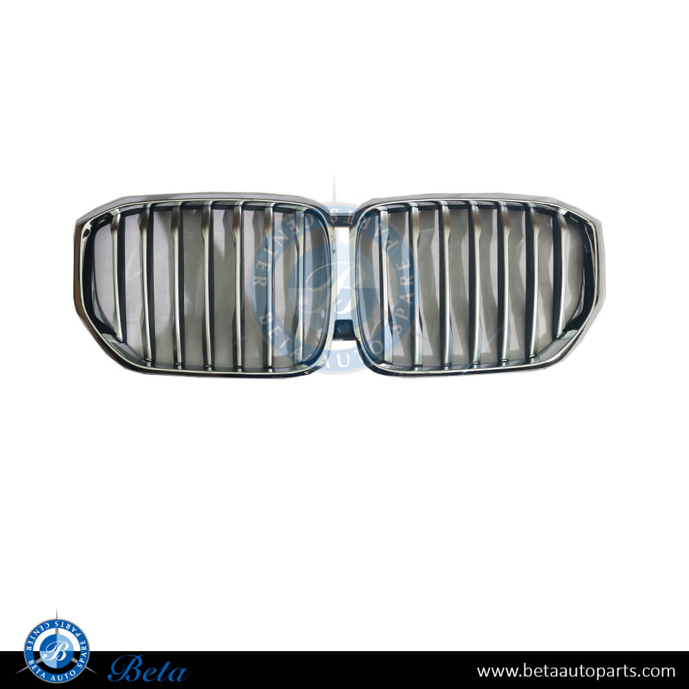 Grille for BMW X5 G05 2019-up models, Part Number 51137454887