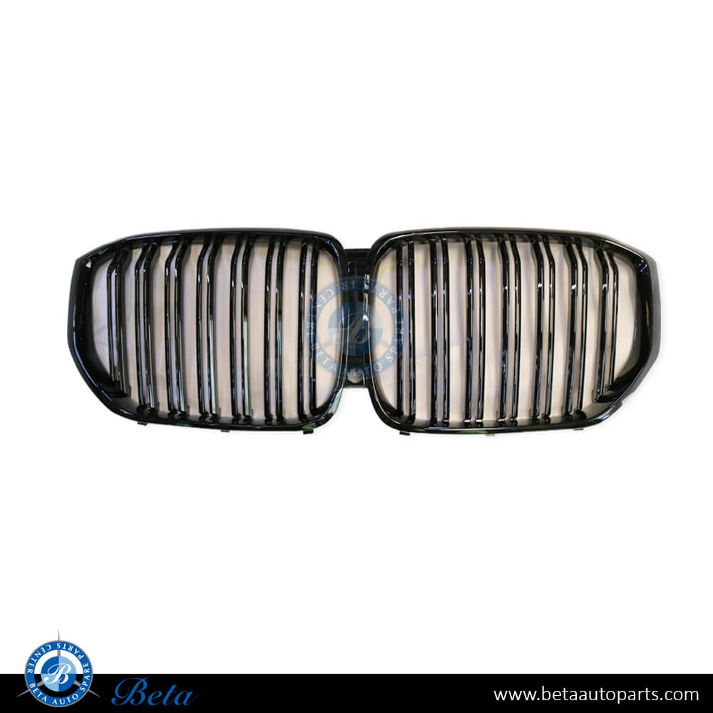 Grille M Look 2 Lines for BMW X5 G05 2019-Up models, Part Number 51137454887